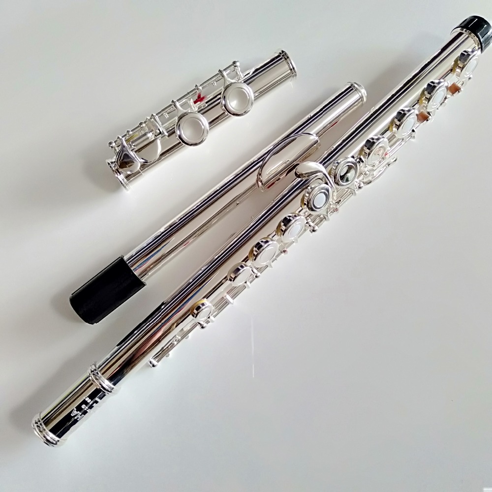 Professionele Top Japan FL-471 - Musical Instrument Japan recensie en prijs