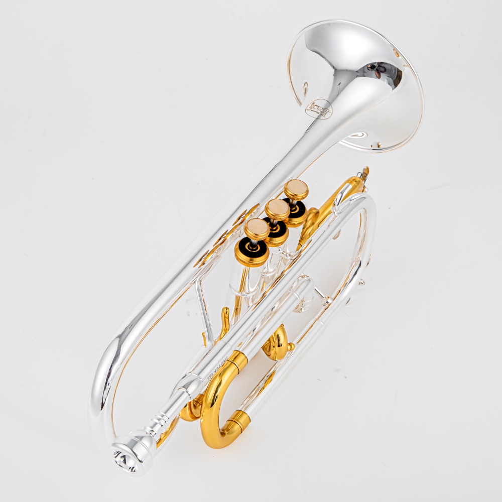 2026 Hoogwaardige BACH verzilv - Musical Instrument Cornet recensie en prijs