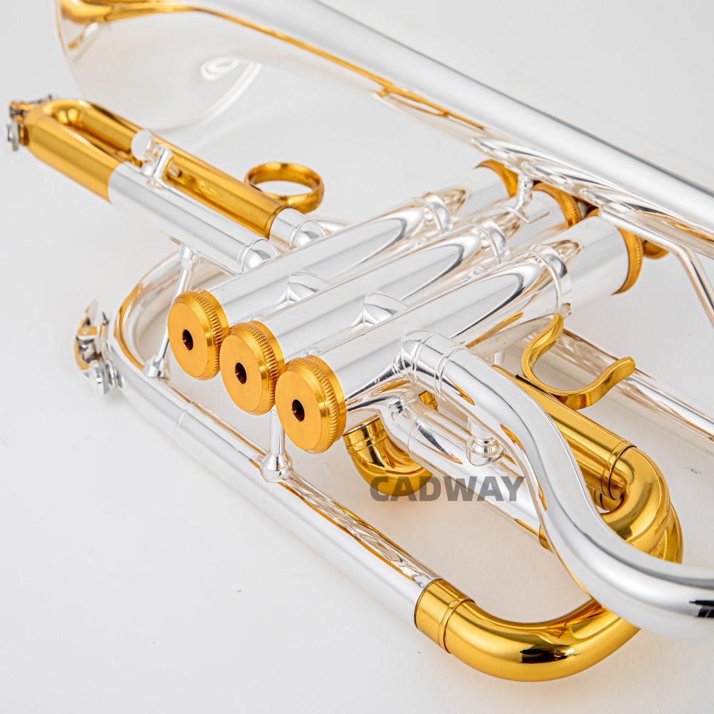 2026 Hoogwaardige BACH verzilv - Musical Instrument Cornet recensie en prijs