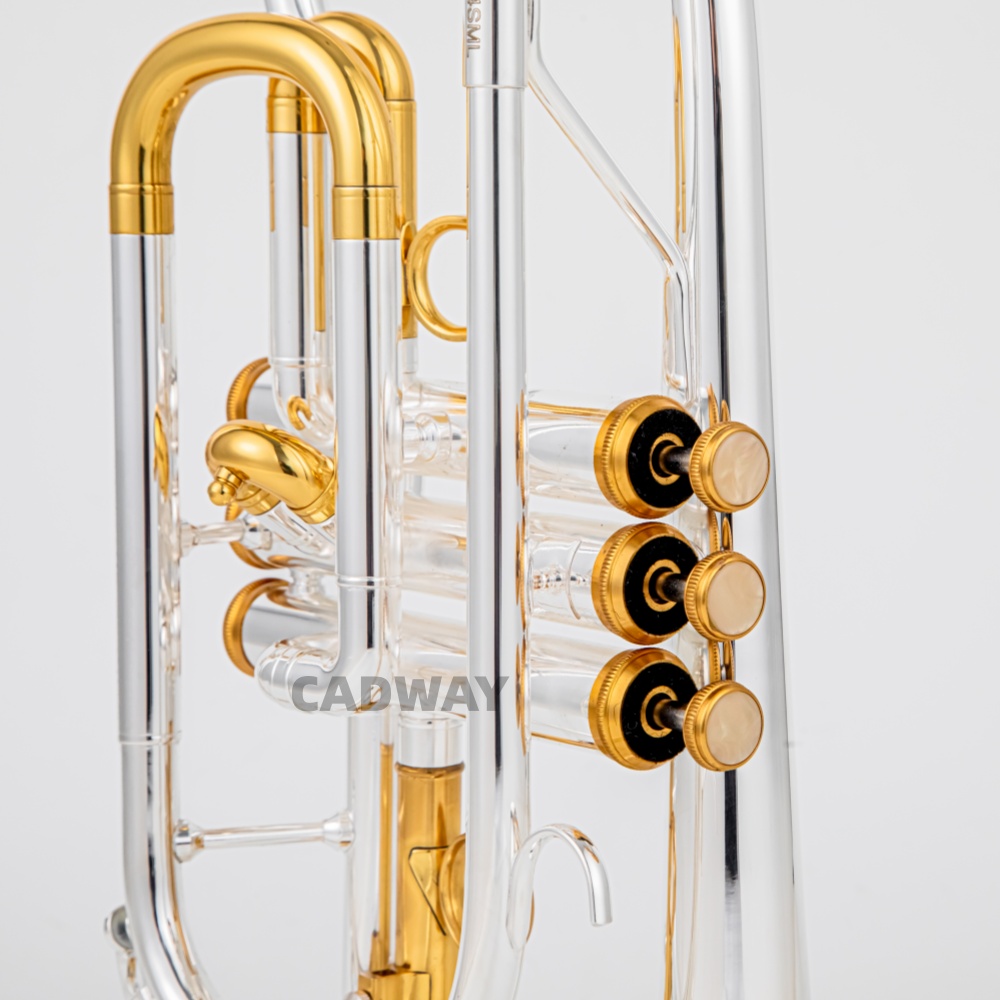 2026 Hoogwaardige BACH verzilv - Musical Instrument Cornet recensie en prijs