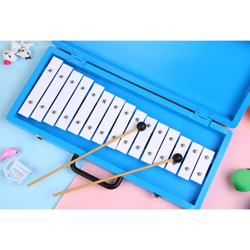 Klokkenspel Xylofoon Naamlijst - Musical Instrument And Name recensie en prijs