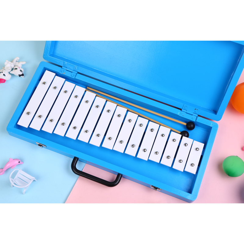 Klokkenspel Xylofoon Naamlijst - Musical Instrument And Name recensie en prijs