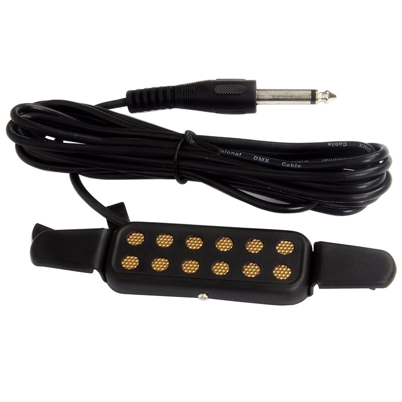Professionele Klassieke Akoest - Musical Instrument Amplifier recensie en prijs
