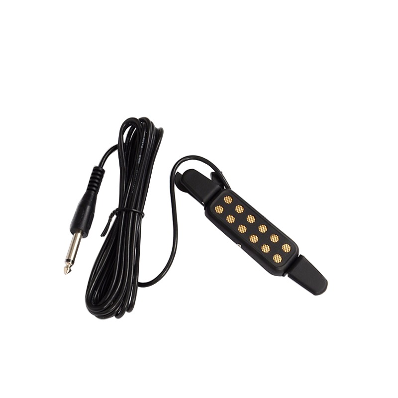 Professionele Klassieke Akoest - Musical Instrument Amplifier recensie en prijs