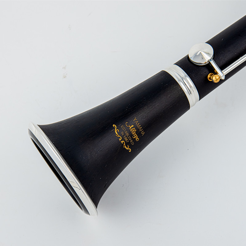 Japan Gloednieuwe Professionel - Musical Instrument Japan recensie en prijs