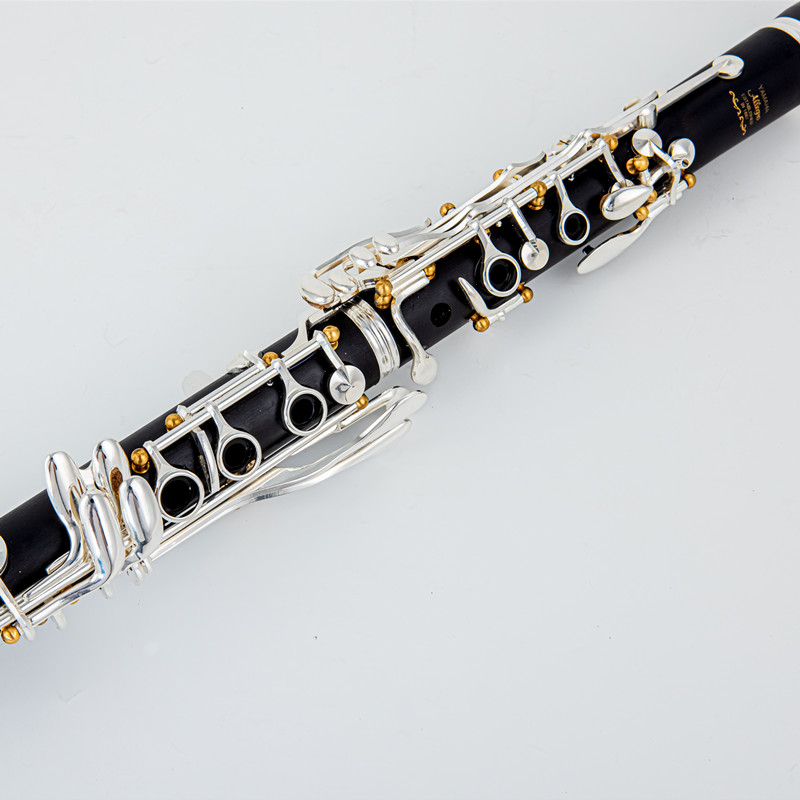 Japan Gloednieuwe Professionel - Musical Instrument Japan recensie en prijs