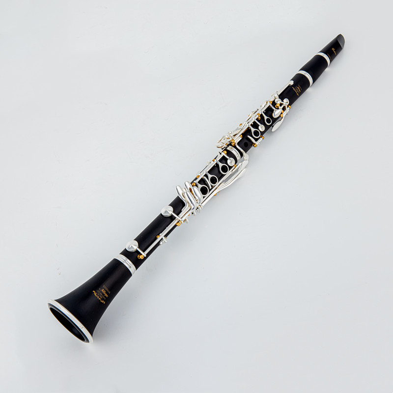 Japan Gloednieuwe Professionel - Musical Instrument Japan recensie en prijs