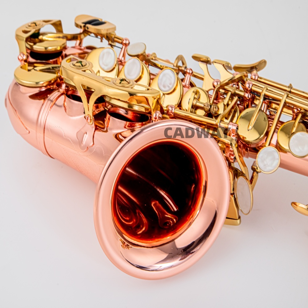 Japan Saxofoon Sopraan B plat  - Musical Instrument Japan recensie en prijs